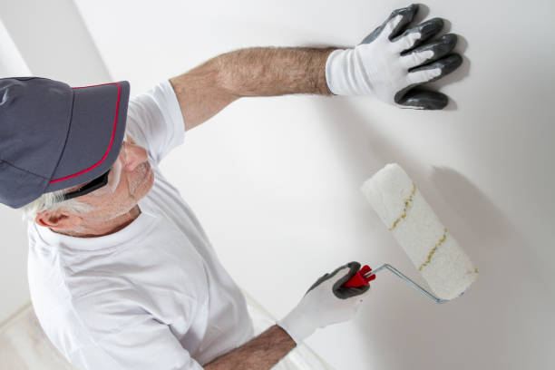 Best Mold-Related Health Consultation  in Kaneohe, HI