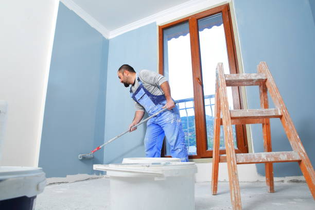 Best Basement Mold Removal  in Kaneohe, HI