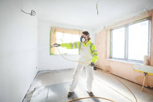 Mold Documentation for Insurance Claims in Kaneohe, HI