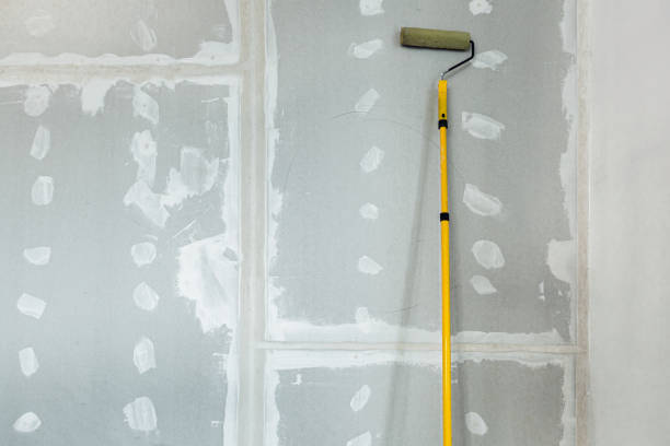  Kaneohe, HI Mold Removal Pros