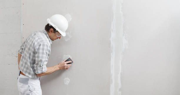 Best Air Quality Testing for Mold Spores  in Kaneohe, HI