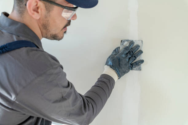 Best Emergency Mold Remediation  in Kaneohe, HI