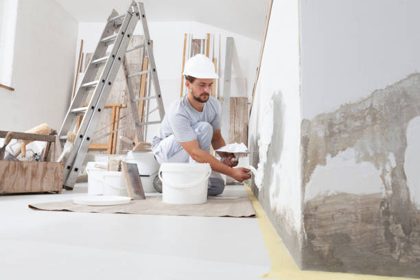 Best Biohazard Mold Removal  in Kaneohe, HI