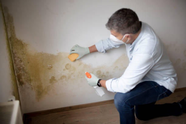 Best Airborne Mold Testing  in Kaneohe, HI
