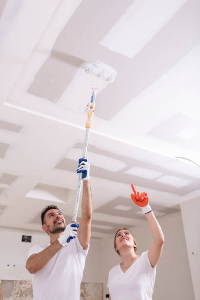 Best Environmental Consulting for Mold Prevention  in Kaneohe, HI