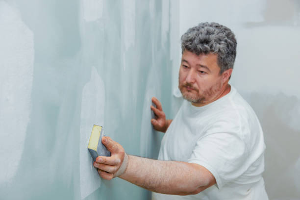 Best Real Estate Mold Inspection  in Kaneohe, HI