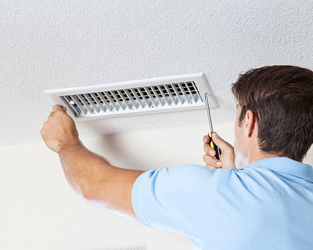 Best Industrial Mold Remediation  in Kaneohe, HI