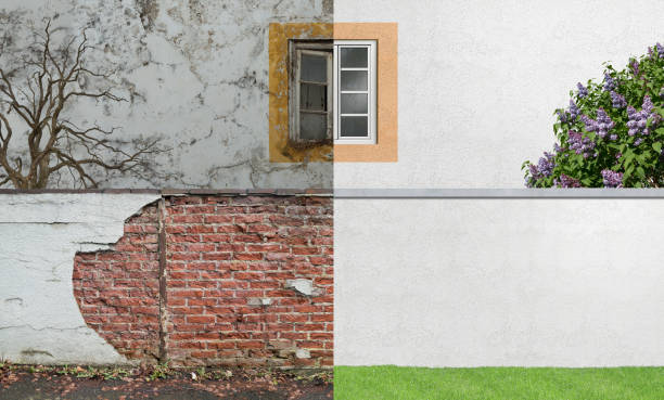 Best Black Mold Removal  in Kaneohe, HI