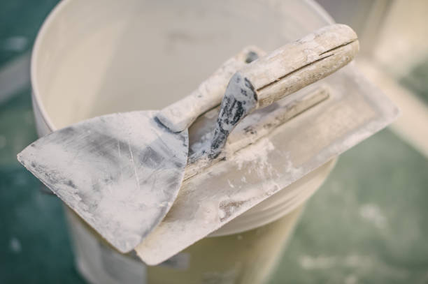 Best Asbestos and Lead Testing During Mold Inspection  in Kaneohe, HI