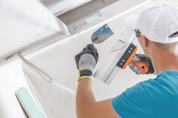 Professional Mold Removal in Kaneohe, HI